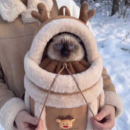 TeddyGo™ Christmas Bag